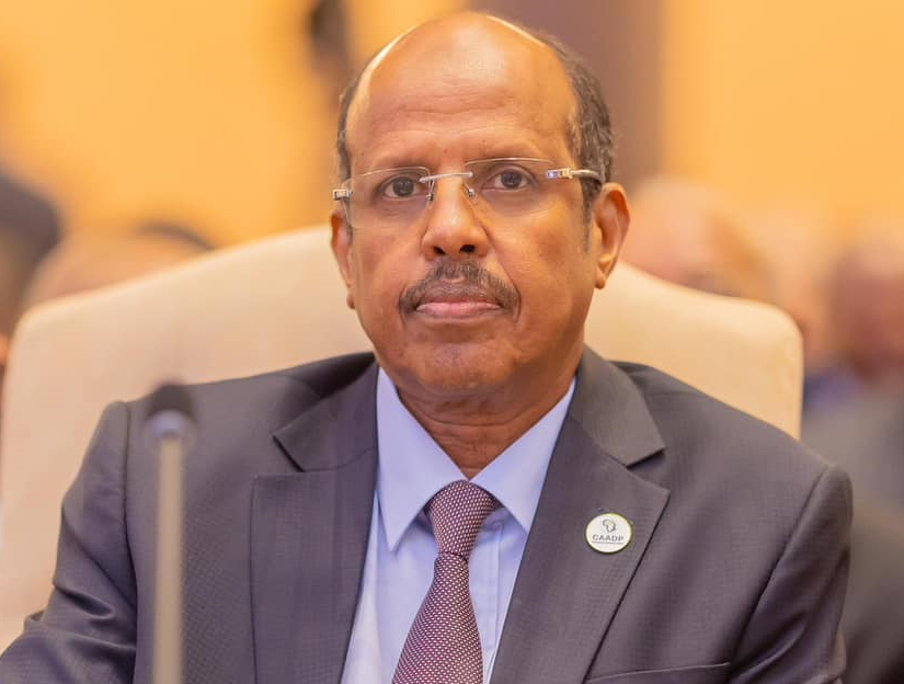 مفوض الاتحاد الأفريقي: تعيين إدريس رئيساً لوزراء السودان خطوة نحو حكومة شاملة