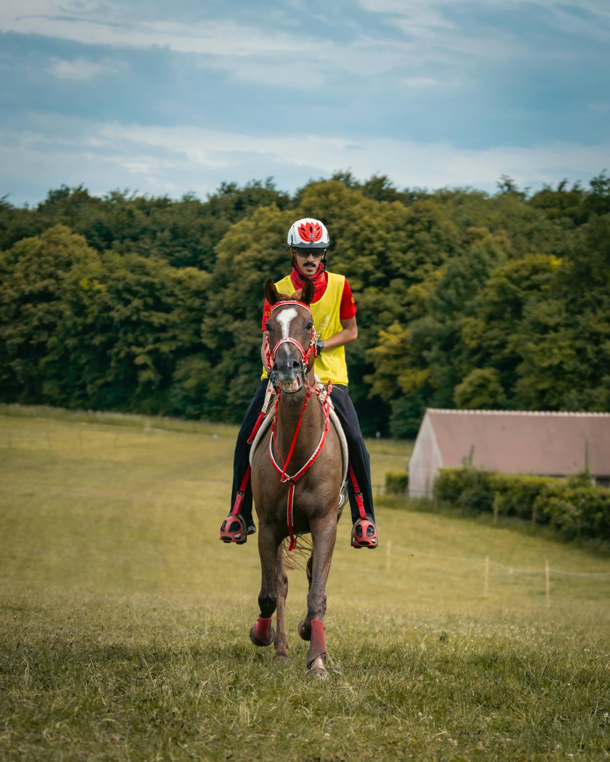 ناصر بن حمد يُشيد بفوز الفريق الملكي للقدرة بالمركز الأول في سباق فلورينس للقدرة في فرنسا