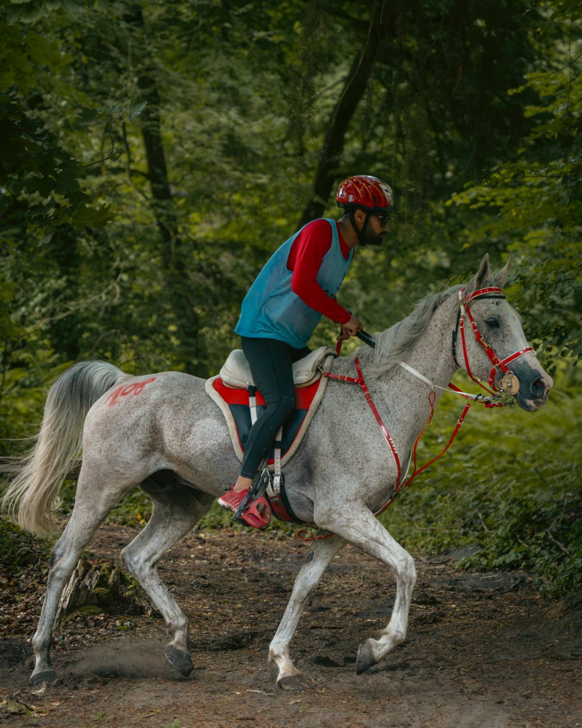 ناصر بن حمد يُشيد بفوز الفريق الملكي للقدرة بالمركز الأول في سباق فلورينس للقدرة في فرنسا