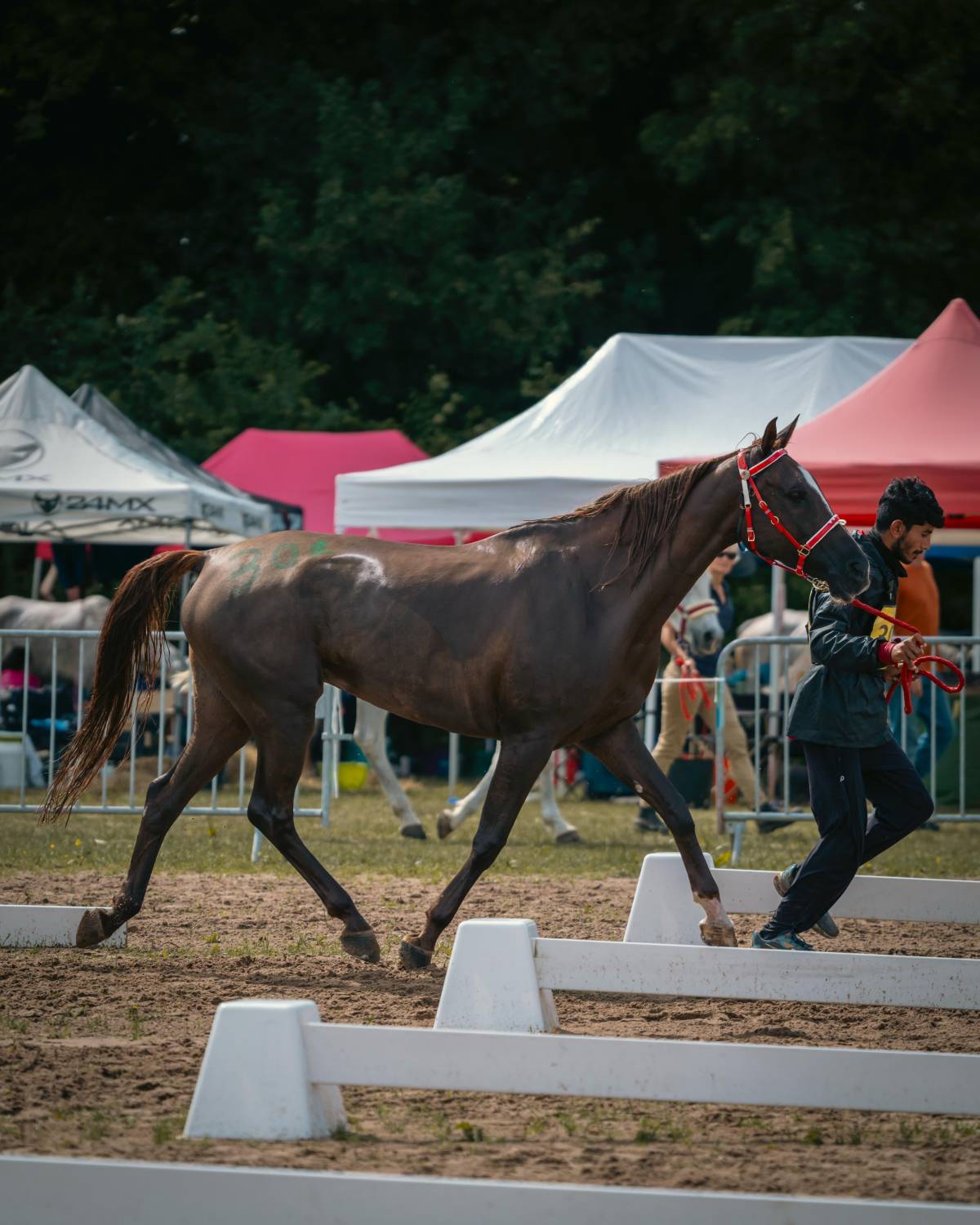 ناصر بن حمد يُشيد بفوز الفريق الملكي للقدرة بالمركز الأول في سباق فلورينس للقدرة في فرنسا