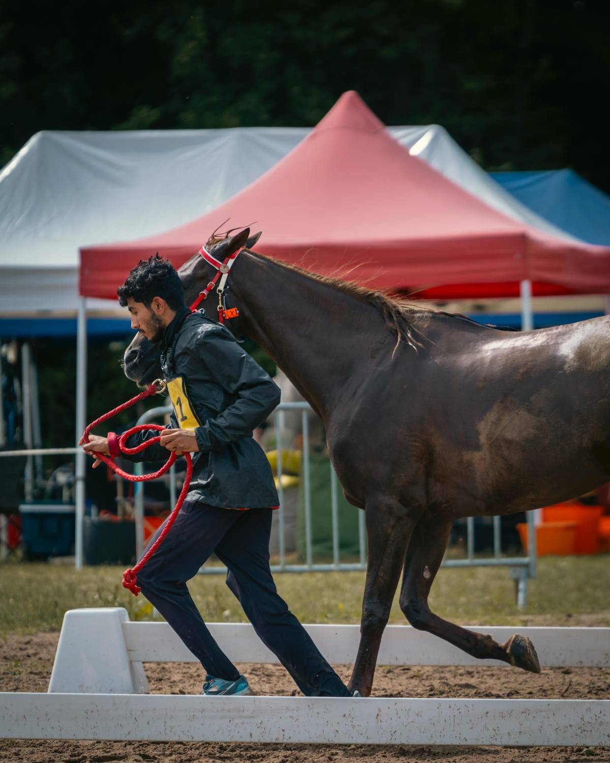 ناصر بن حمد يُشيد بفوز الفريق الملكي للقدرة بالمركز الأول في سباق فلورينس للقدرة في فرنسا