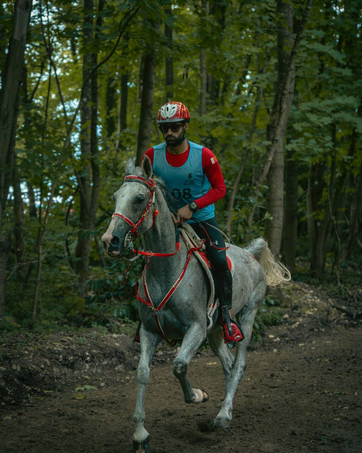 ناصر بن حمد يُشيد بفوز الفريق الملكي للقدرة بالمركز الأول في سباق فلورينس للقدرة في فرنسا