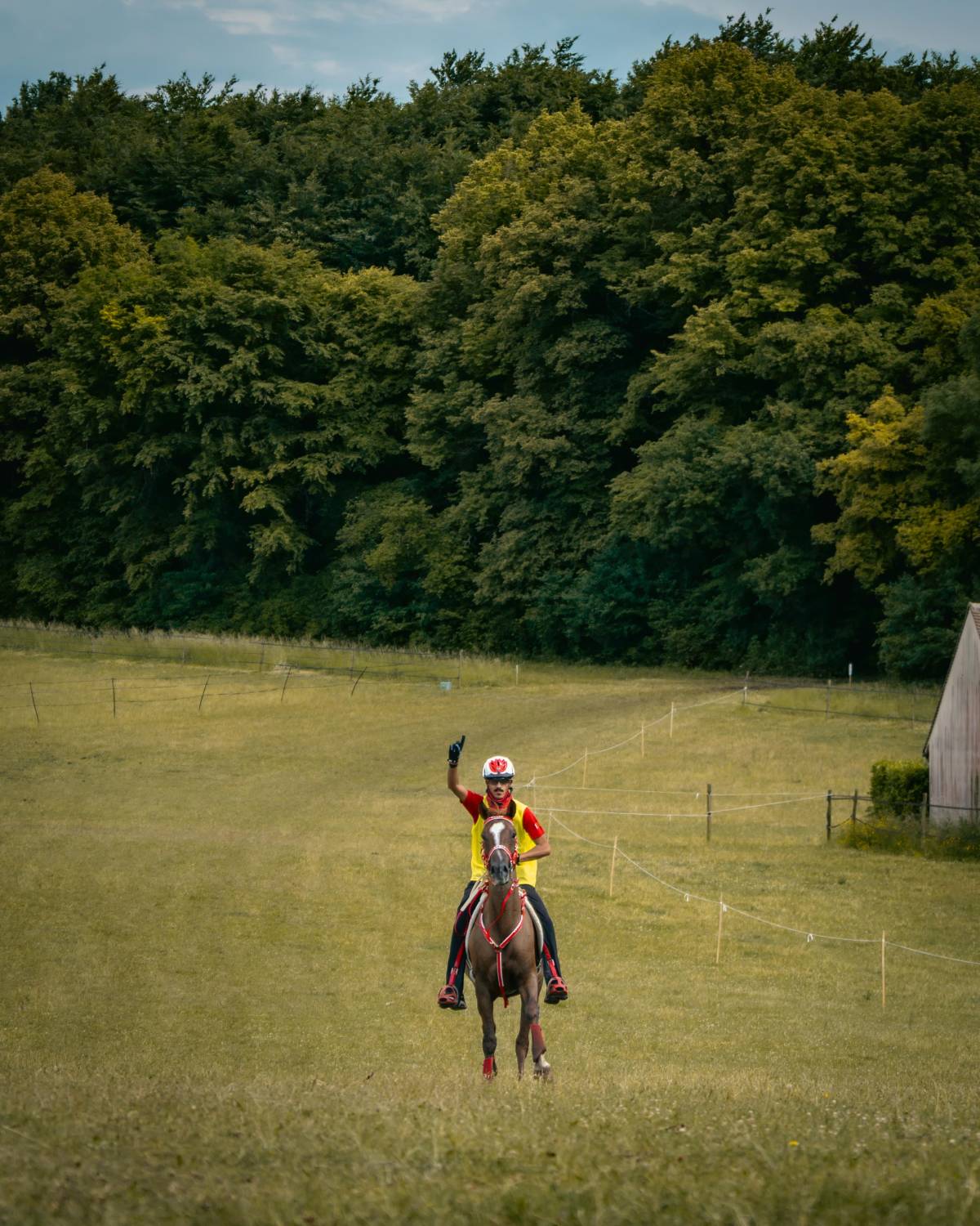ناصر بن حمد يُشيد بفوز الفريق الملكي للقدرة بالمركز الأول في سباق فلورينس للقدرة في فرنسا
