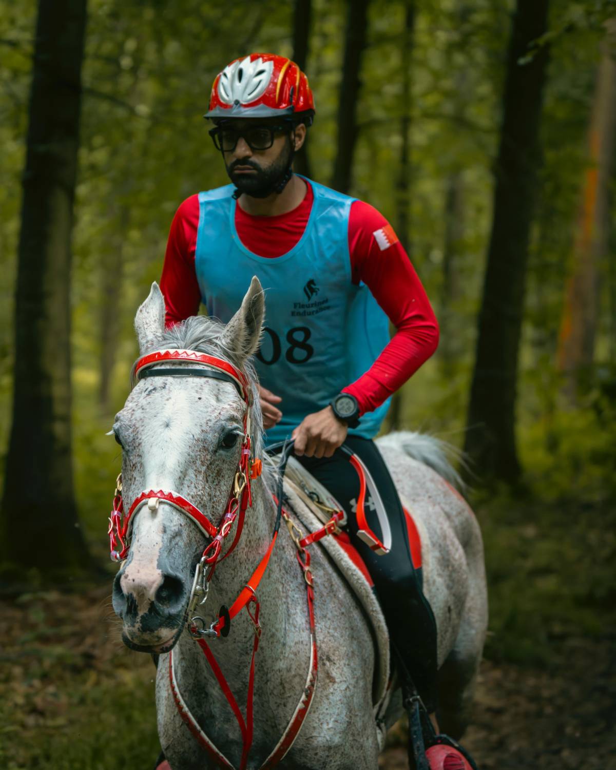 ناصر بن حمد يُشيد بفوز الفريق الملكي للقدرة بالمركز الأول في سباق فلورينس للقدرة في فرنسا