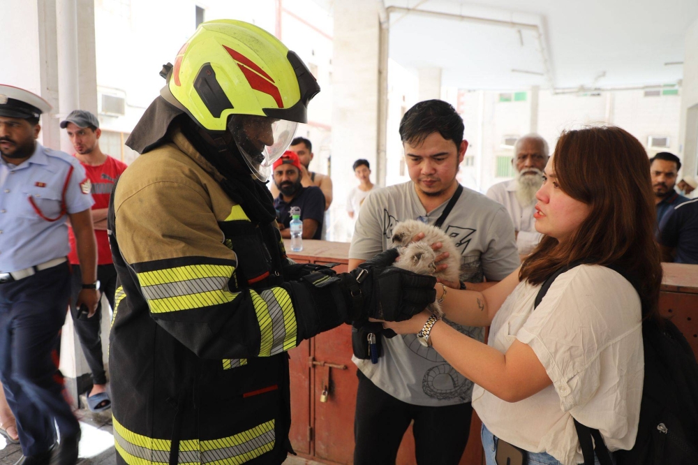 "الداخلية: إخماد حريق في شقتين سكنيتين بالقضيبية ونقل مصاب إلى المستشفى
