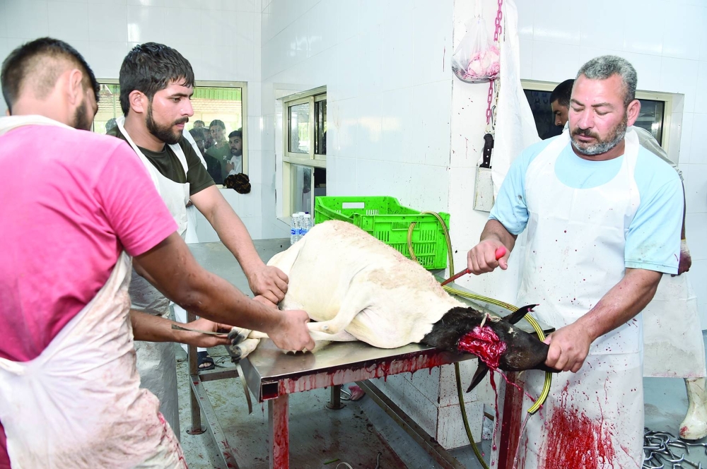 ارتفاع الإقبال على الأضاحي.. وخدمة التوصيل تُغيّر نمط الشراء