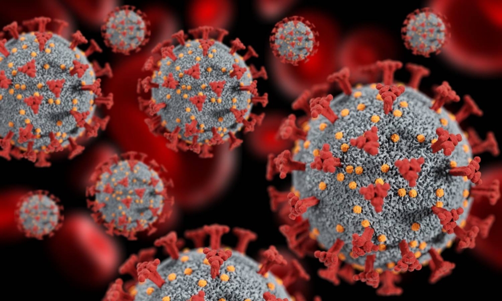 علماء يحذرون من المتحور الجديد "نيمبوس"