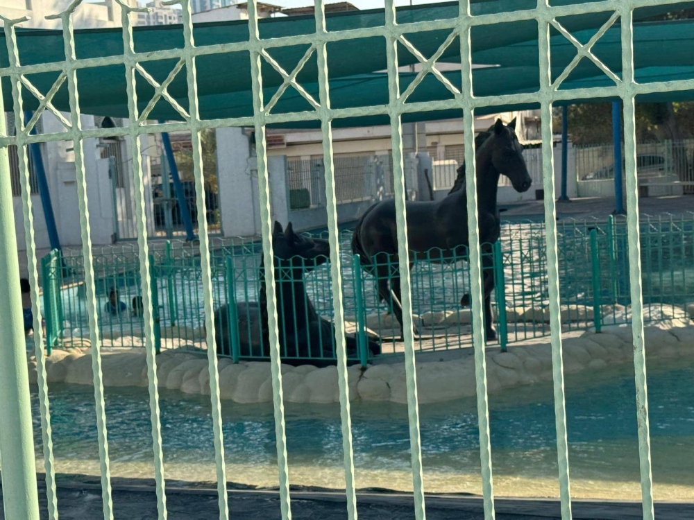 السلوم يُدشّن &laquo;عين أم الشعوم&raquo; في الماحوز ضمن &laquo;حياة أفضل&raquo;