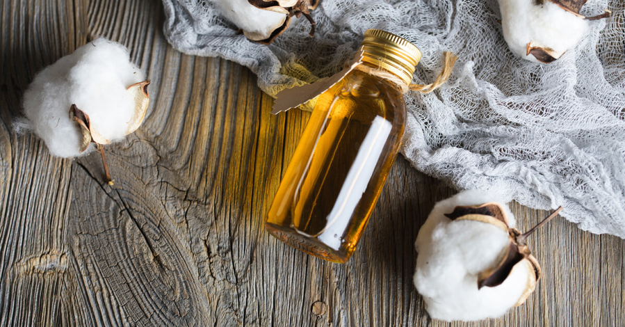 زيت وبذور القطن.. كنوز طبيعية للصحة والجمال