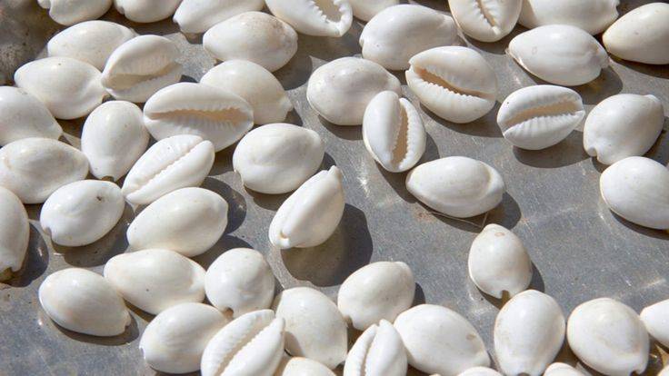 الودعة والليمون.. سر طبيعي لتفتيح البشرة والعناية بها