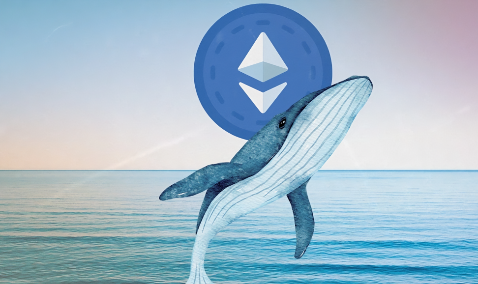 موجة شرائية غير مسبوقة.. حيتان إيثريوم تعود بقوة لمستويات 2017