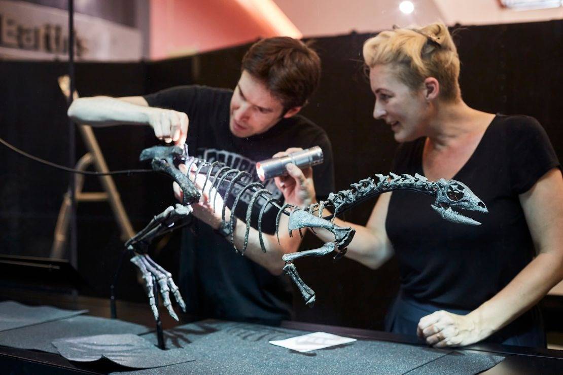 علماء يكتشفون سلالة جديدة من الديناصورات بحجم كلب