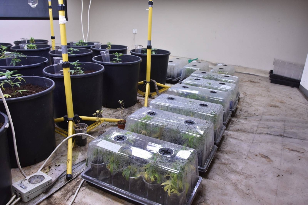 اللواء عبدالعزيز الرميحي لـ &laquo;الوطن&raquo;: ضبط 2559 قضية مخدرات خلال 16 شهراً