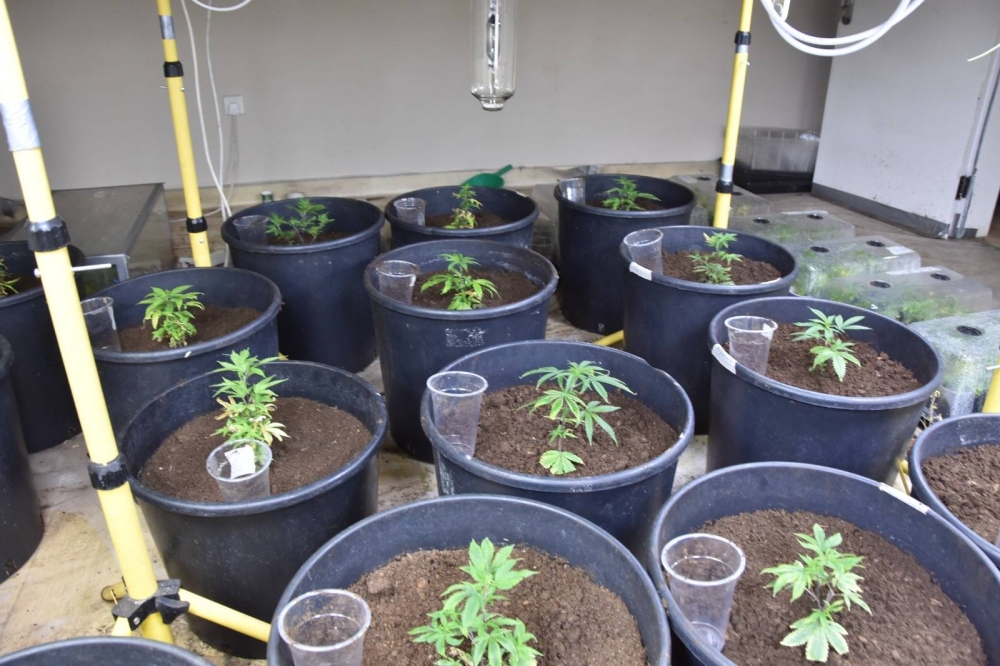 اللواء عبدالعزيز الرميحي لـ &laquo;الوطن&raquo;: ضبط 2559 قضية مخدرات خلال 16 شهراً