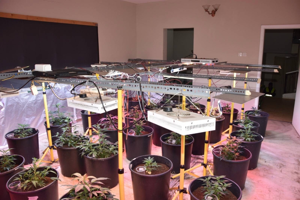 اللواء عبدالعزيز الرميحي لـ &laquo;الوطن&raquo;: ضبط 2559 قضية مخدرات خلال 16 شهراً