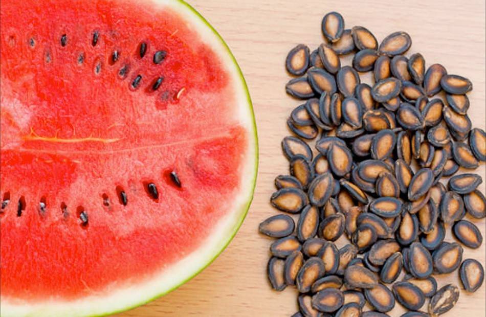 فوائد لب البطيخ.. كنز غذائي ينعش صحتك