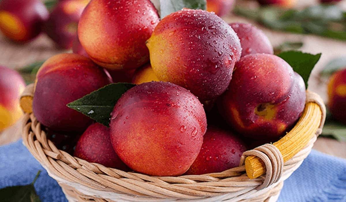 ما هي فوائد الخوخ؟.. فاكهة الربيع التي تمنحك صحة وجمالًا