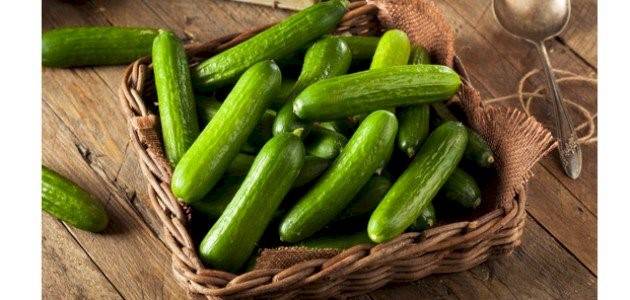أسرار الخيار.. خضار منعش لصحة البشرة والمعدة والعيون