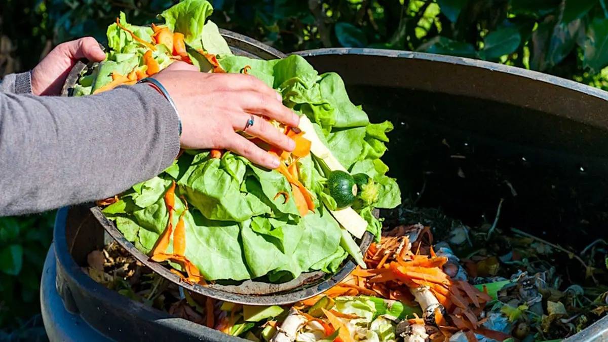 فندق عريق في إيرلندا يحوّل نفايات الطعام إلى مشروبات ومقبلات