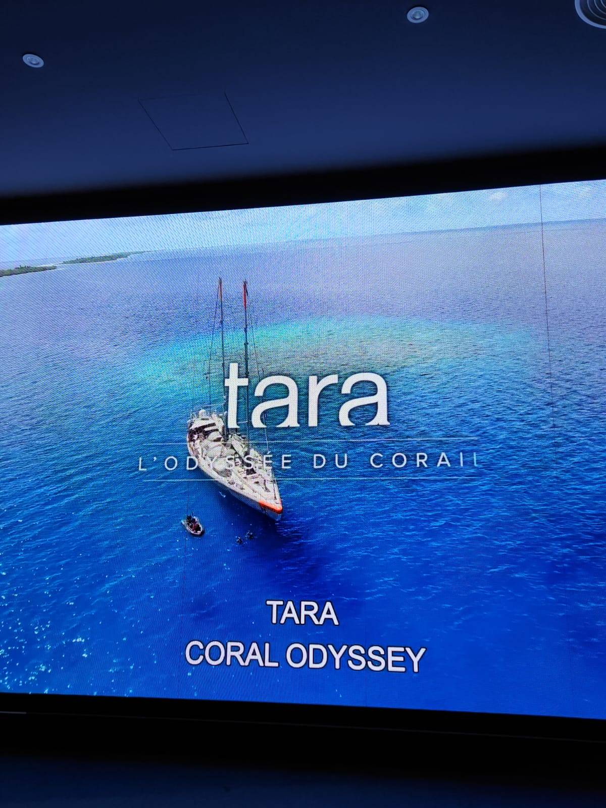 &rdquo; بحر : &rdquo;Talks المحيطات في بؤرة الاهتمام بعد قمة الأمم المتحدة في نيس