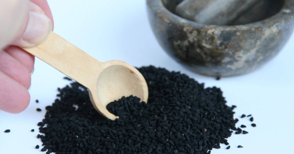 ما هي فوائد الحبة السوداء؟.. سر الطب النبوي الذي أثبت العلم فعاليته