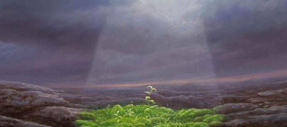 غُسِّل بماء المزن.. من هو الصحابي الذي غسلته الملائكة؟