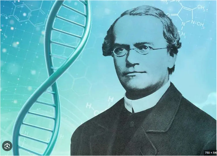 مؤسس علم الوراثة.. فكرة مندل تظهر للنور بعد رفضها 34 سنة