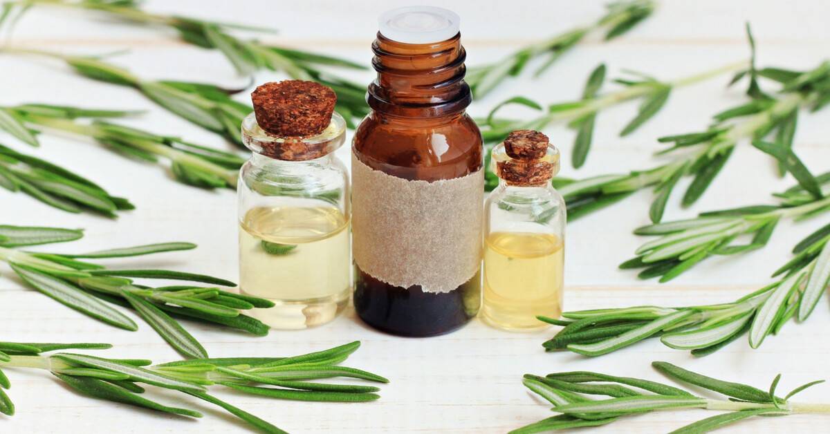 ما فوائد زيت الروزماري؟.. إليك أسراره للشعر والبشرة والجسم