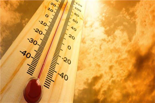 زهرة خليفة: موجة الحر والرطوبة ترفع خطر التسمم الغذائي