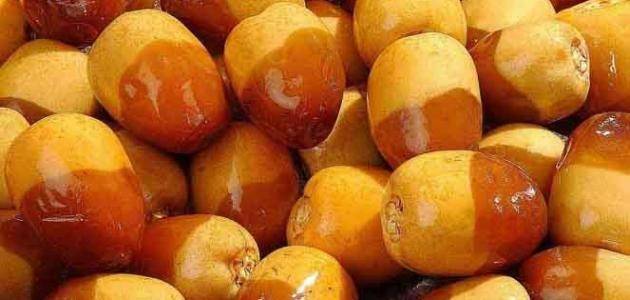 تمر الرطب.. كنز غذائي للحوامل والصحة النفسية