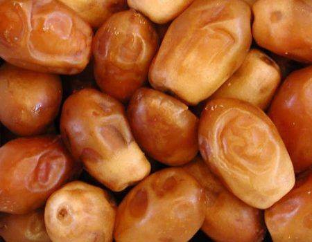 تمر الرطب.. كنز غذائي للحوامل والصحة النفسية