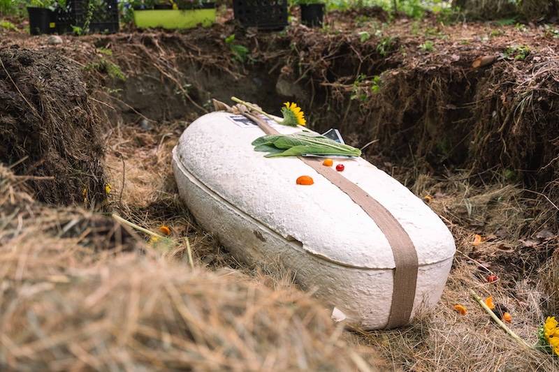 طرح تابوت قابل للتحلل خلال 45 يوما في هولندا