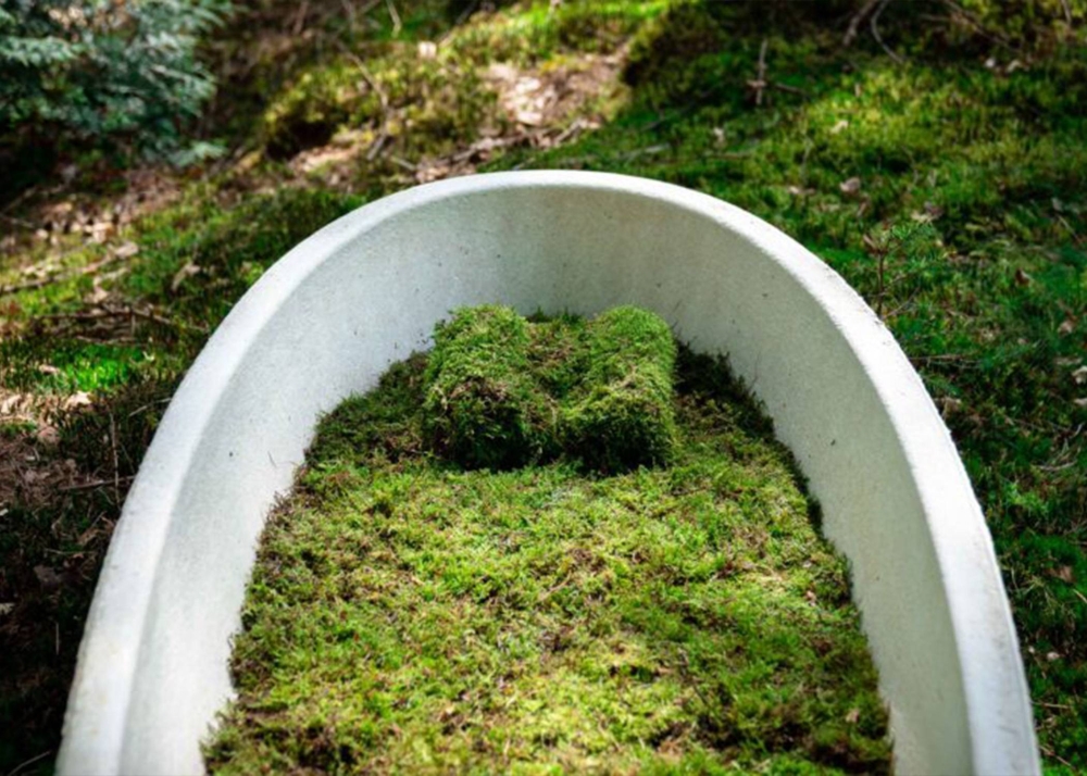 طرح تابوت قابل للتحلل خلال 45 يوما في هولندا