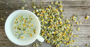 ما هي فوائد البابونج الصحية والجمالية؟