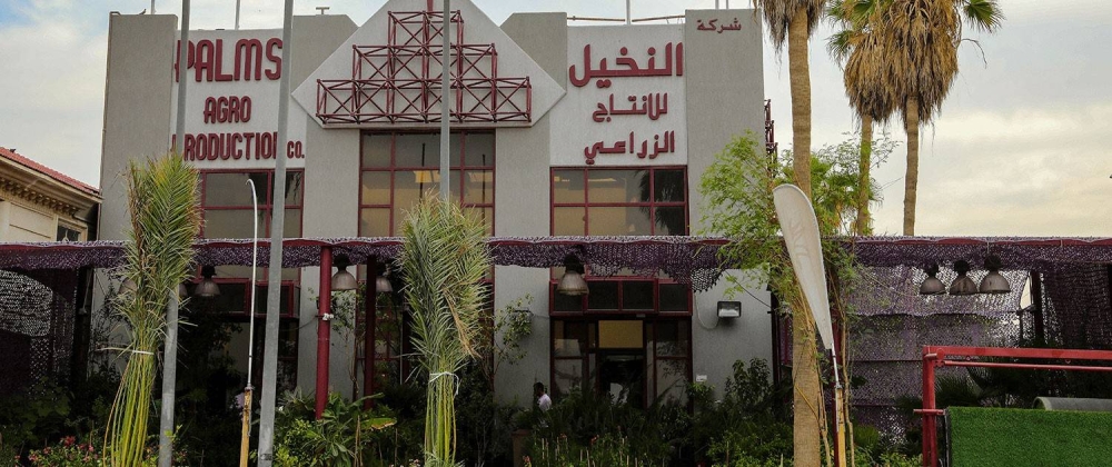 الكويت.. سهم "النخيل" يصعد لأعلى سعر منذ 9 أشهر