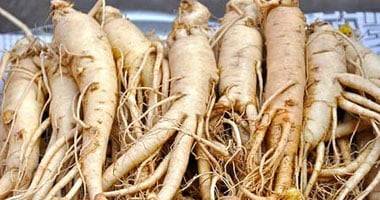 عشبة الجنسنج.. السر الآسيوي لصحة أقوى وجمال دائم