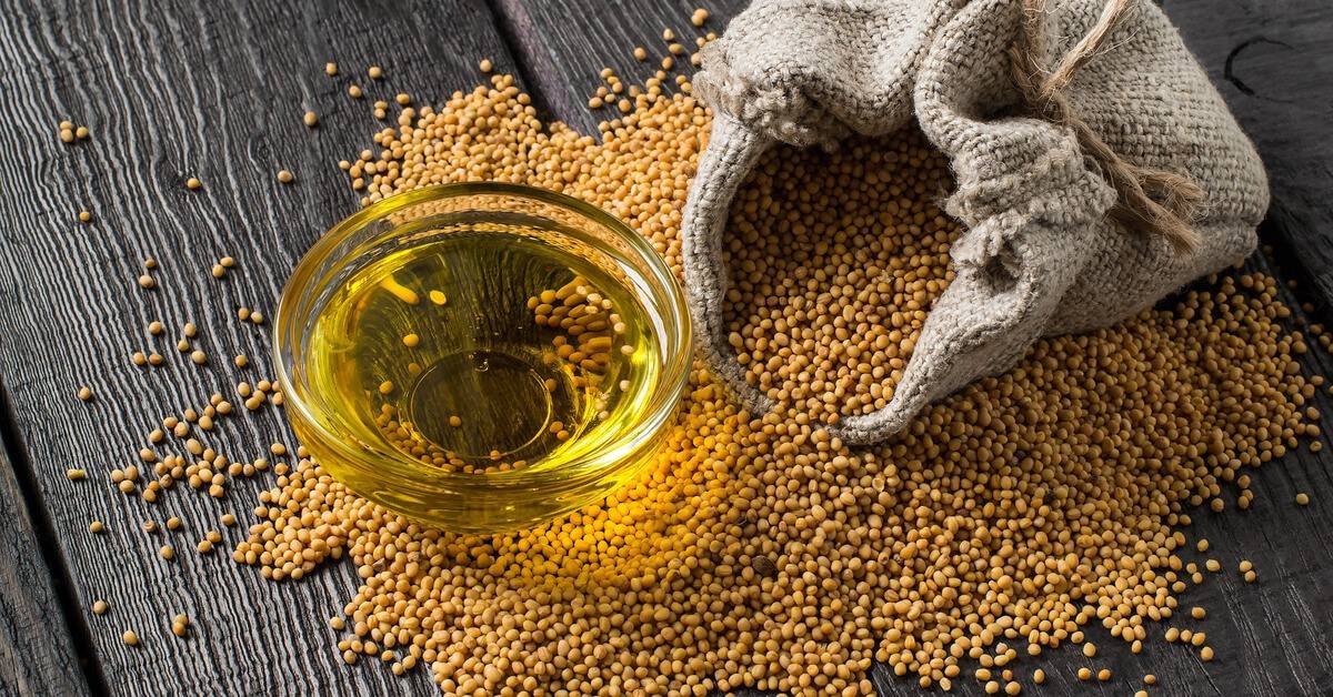 ما هي فوائد زيت الخردل؟.. أسرار مدهشة لصحة الجسم والشعر والمفاصل