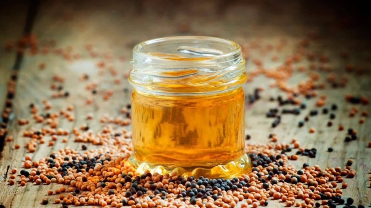 ما هي فوائد زيت الخردل؟.. أسرار مدهشة لصحة الجسم والشعر والمفاصل