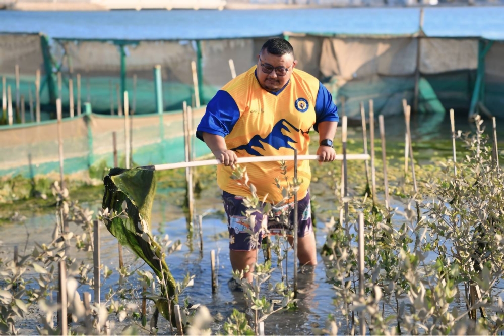 وزارة شؤون البلديات والزراعة تنظم حملة لتنظيف أشجار القرم في حالة أم البيض