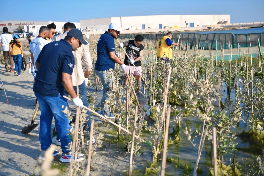 وزارة شؤون البلديات والزراعة تنظم حملة لتنظيف أشجار القرم في حالة أم البيض