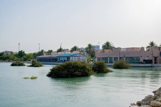 &laquo;الأعلى للبيئة&raquo; و&laquo;وزارة البلديات&raquo; ينظمان زيارة لدوحة عراد للاطلاع على جهود حماية القرم