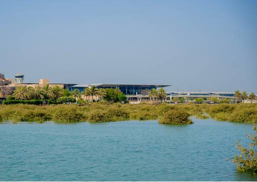 &laquo;الأعلى للبيئة&raquo; و&laquo;وزارة البلديات&raquo; ينظمان زيارة لدوحة عراد للاطلاع على جهود حماية القرم