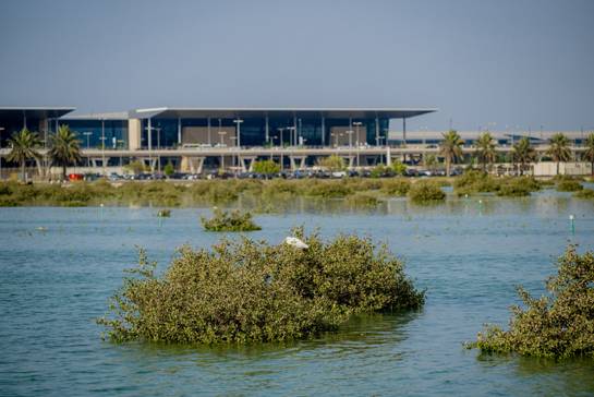 &laquo;الأعلى للبيئة&raquo; و&laquo;وزارة البلديات&raquo; ينظمان زيارة لدوحة عراد للاطلاع على جهود حماية القرم