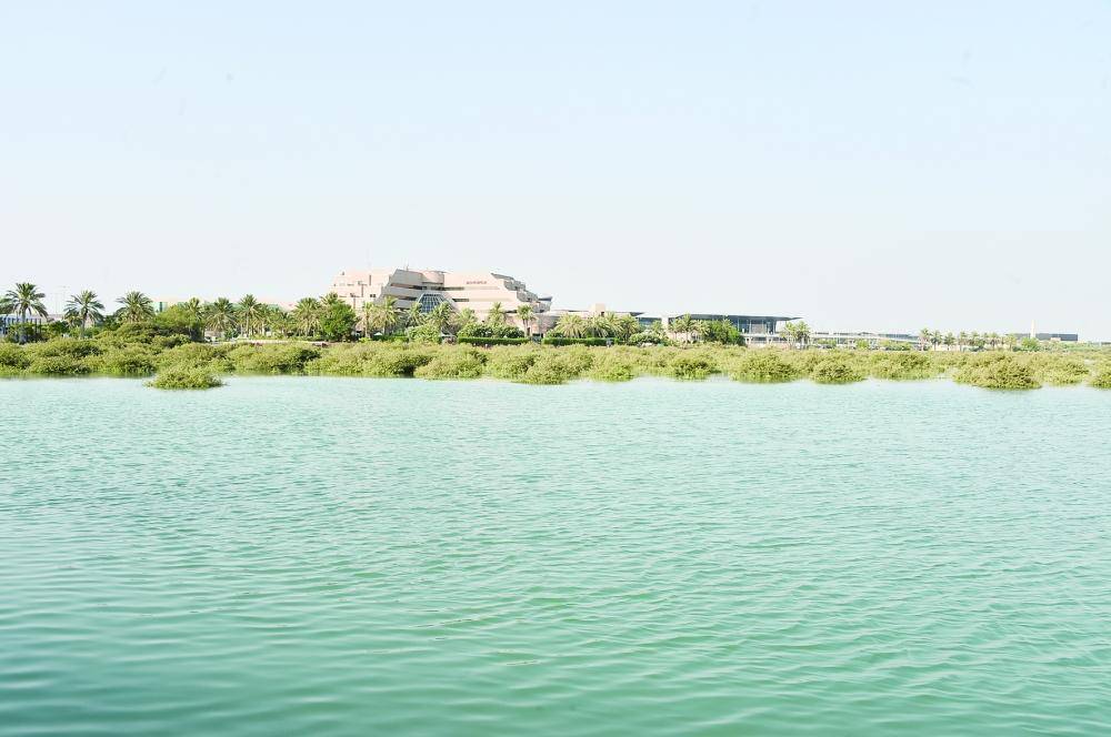 ممثلو وسائل الإعلام الوطنية يُشاركون في زيارة لمحمية دوحة عراد للاطلاع على جهود استزراع أشجار القرم