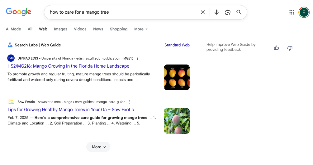 جوجل تطلق ميزة "Web Guide" لتنظيم نتائج البحث بالذكاء الاصطناعي
