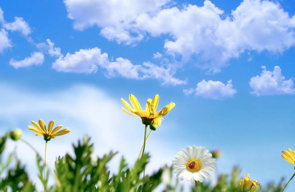 حالة الطقس غدا.. ما هي الظواهر الجوية المحتملة في مصر؟