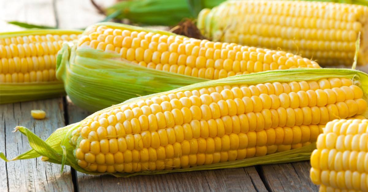 ما هي فوائد الذرة لصحة البشرة؟