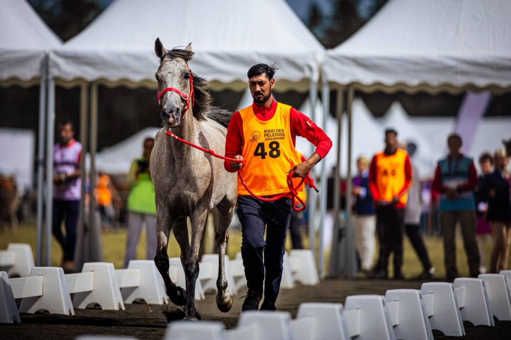 الفريق الملكي للقدرة يشارك في بطولة العالم للجياد عُمْر 8 سنوات بفرنسا