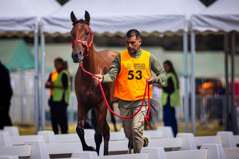 الفريق الملكي للقدرة يشارك في بطولة العالم للجياد عُمْر 8 سنوات بفرنسا