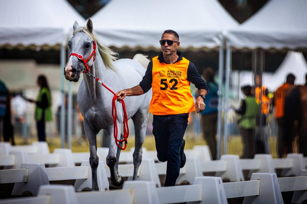 الفريق الملكي للقدرة يشارك في بطولة العالم للجياد عُمْر 8 سنوات بفرنسا
